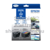 Epson 252XL/252