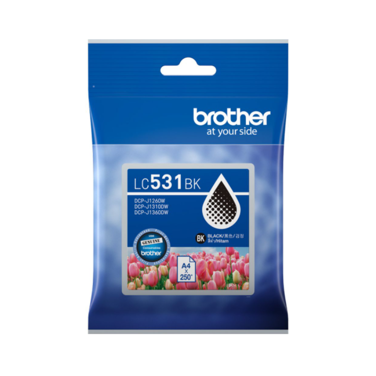 Brother 531
